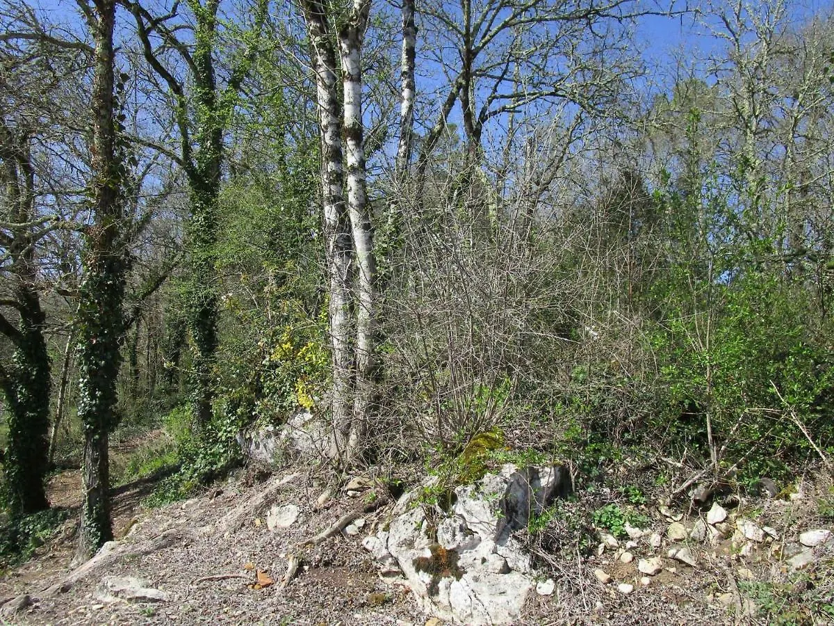 Gite De Vacances La Melve Milhac Guest house